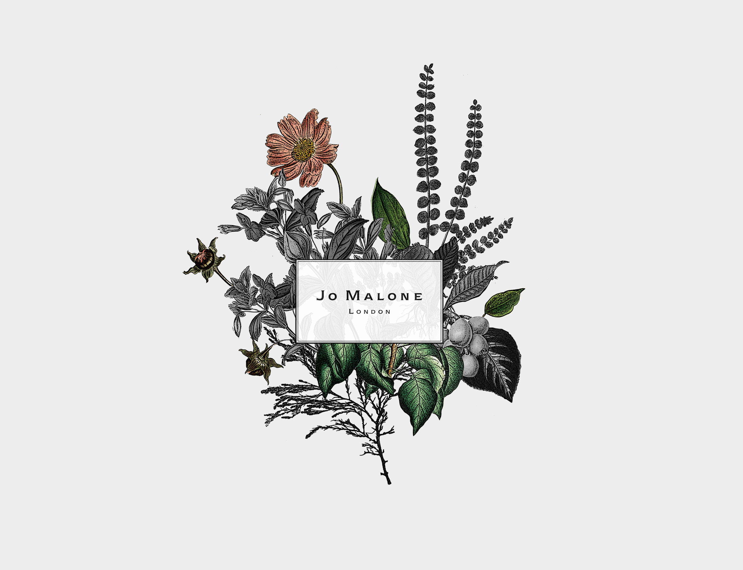 Jo Malone - Skladan | Marine Bedouin